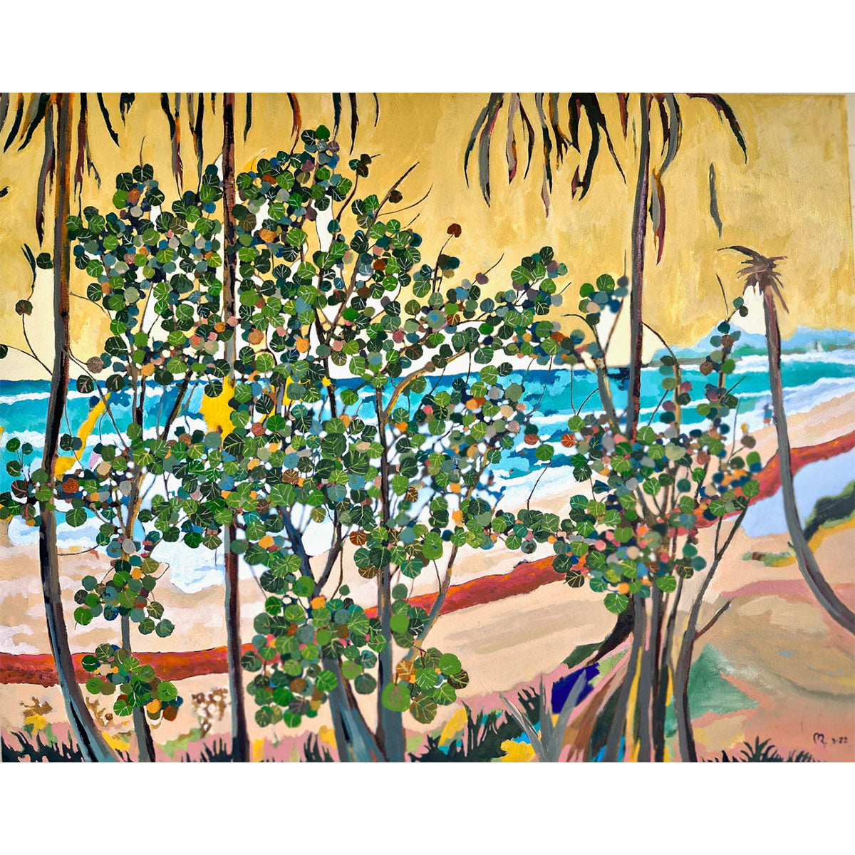 Uvas de Mar y Sargazo